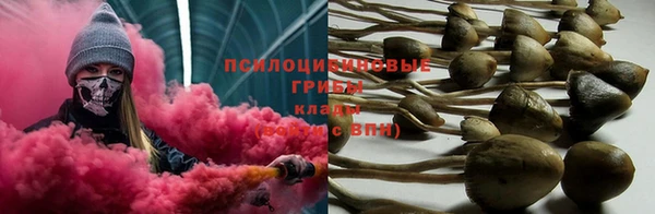 гашик Липки