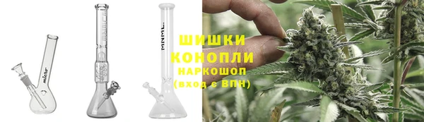 гашик Липки
