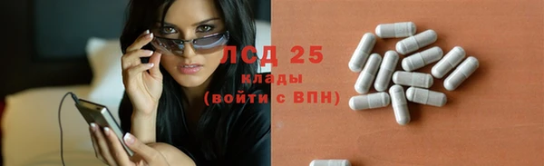гашик Липки