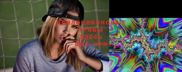 метадон Лагань