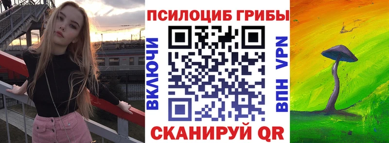 мориарти как зайти  хочу   Лакинск  Галлюциногенные грибы мухоморы 