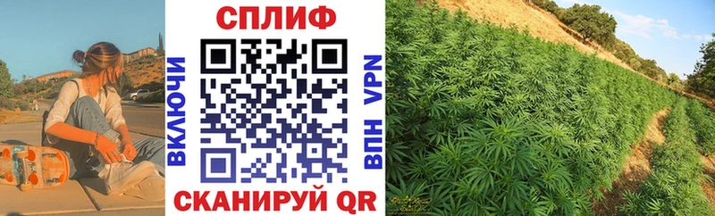 купить сайты Лакинск Бошки Шишки сатива
